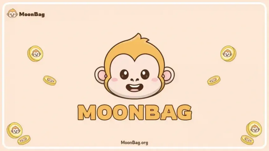 MoonBag Presale: A Better Investment Than Algorand and Kangamoon?