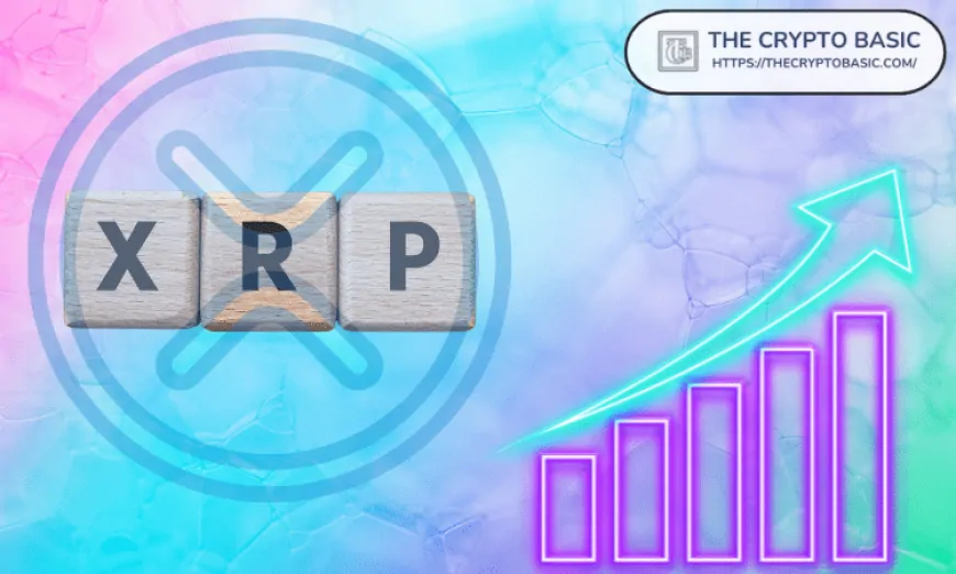 Wallets Holding 10K+ XRP Rise to 6-Month High as XRP Spikes 28% Against BTC in July