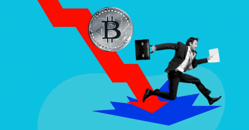 Will Bitcoin Crash Again? Insights from Industry Experts