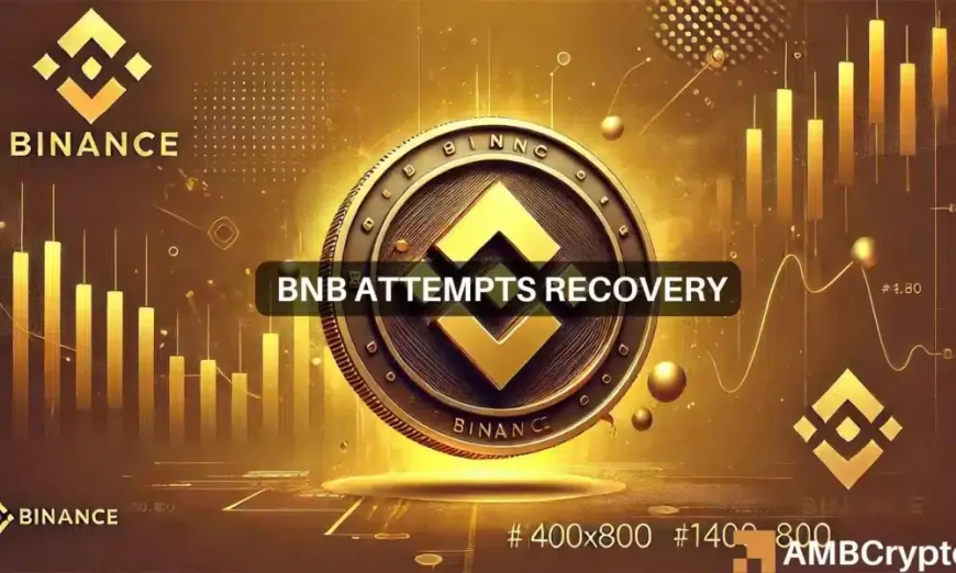 Tough week for BNB as price decline sparks record liquidations – What now?