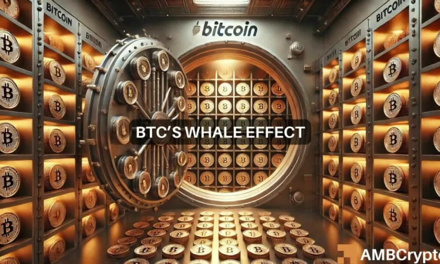 Bitcoin's 1.9M move: Why BTC is the ‘hot pick' for whales right now!