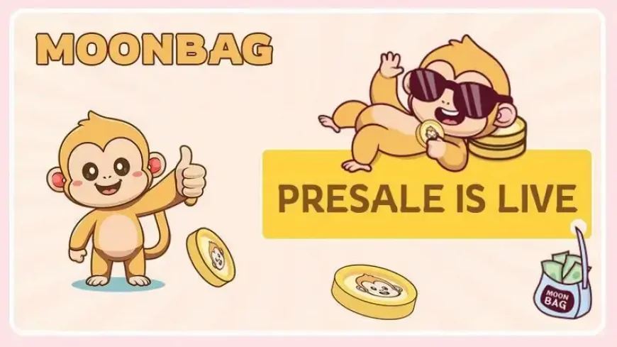 Best Meme Coin Presale: AAVE & Algorand Investors Enchanted by MoonBag Presale's Lucrative Charm