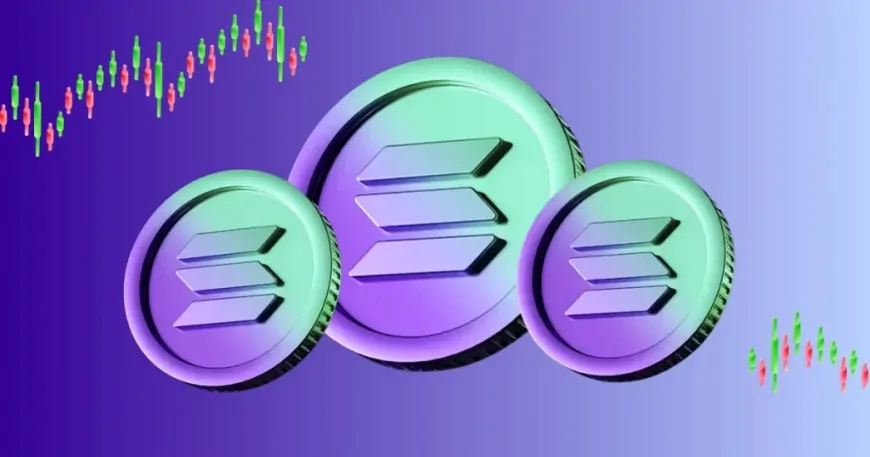 SOL Price Reversal Under 50% Fibonacci Warns Another Drop To $115