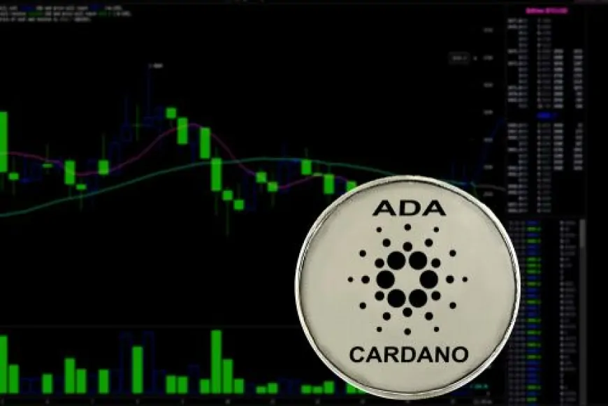 Can Cardano hit $5? Poodlana (POODL) investors are counting hours to token listing