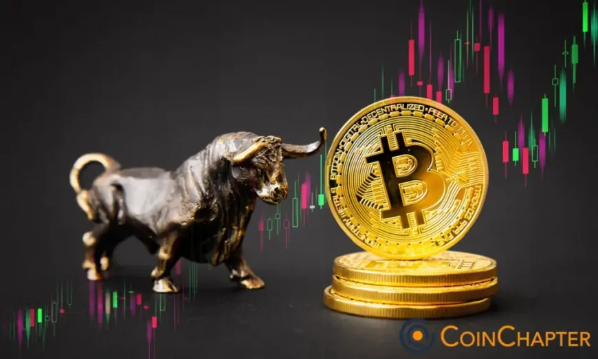 Key Bitcoin Bull Signal Resurfaces, Hinting at Potential Price Surge Amid ETF Inflows