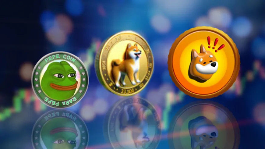 Why this Dogecoin (DOGE) Whale is More Bullish on RCO Finance (RCOF) than in PEPE and BONK