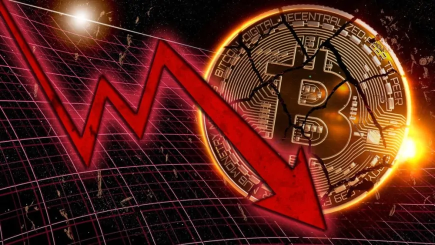 The Cause of the Bitcoin Price Decline May Have Been Determined – “They Will Announce It In January”