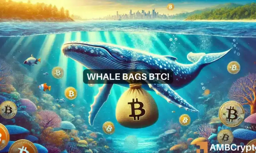 Bitcoin whale bags BTC worth $31 million – Are the bulls back?