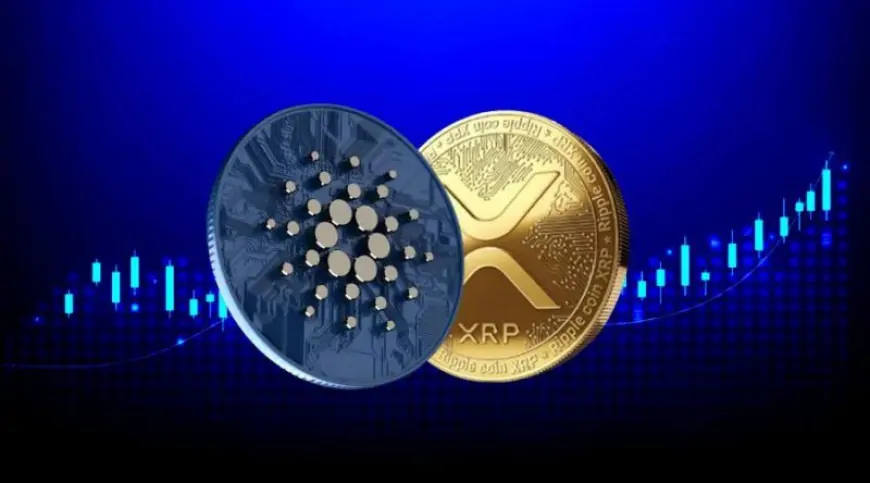 Ripple (XRP) and RCO Finance (RCOF) Aims For Higher as Cardano (ADA) Loses Momentum