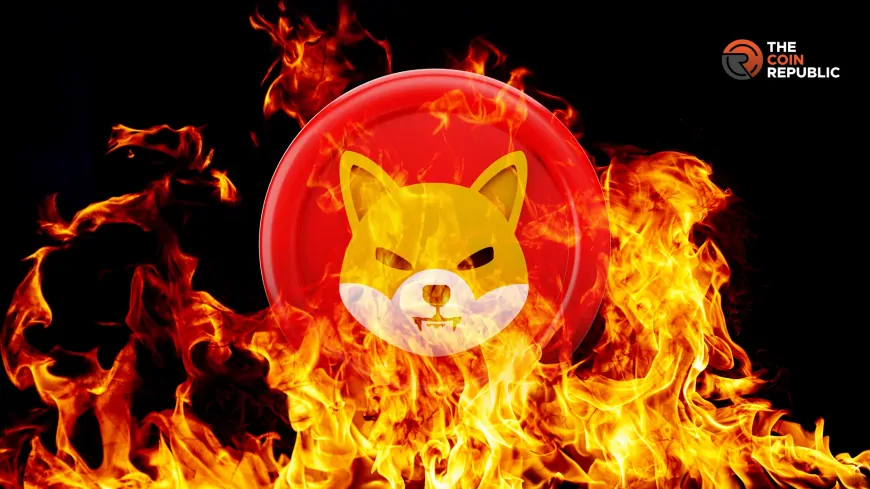 Shiba Inu Launches Shibarium Burn Portal, What Next For SHIB?