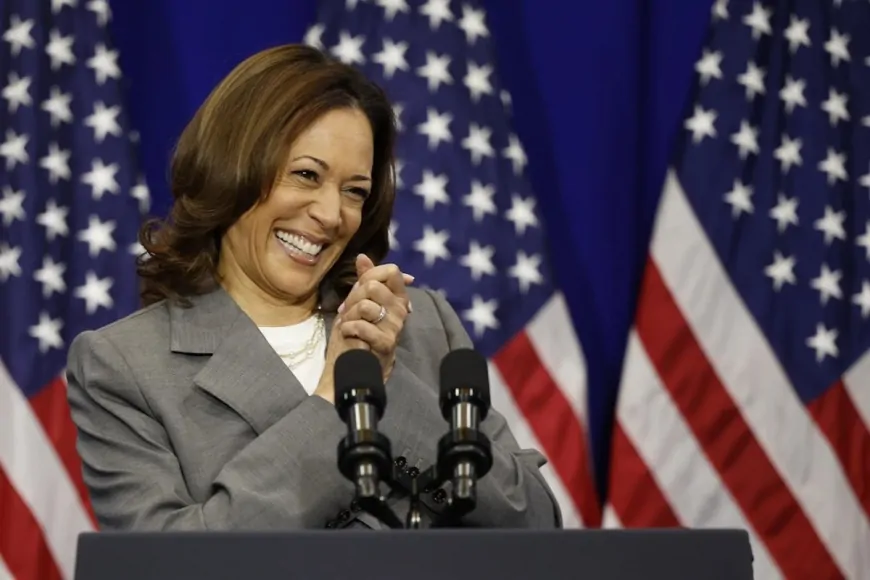 Kamala Harris Shuns Bitcoin In Newly Released Party Platform