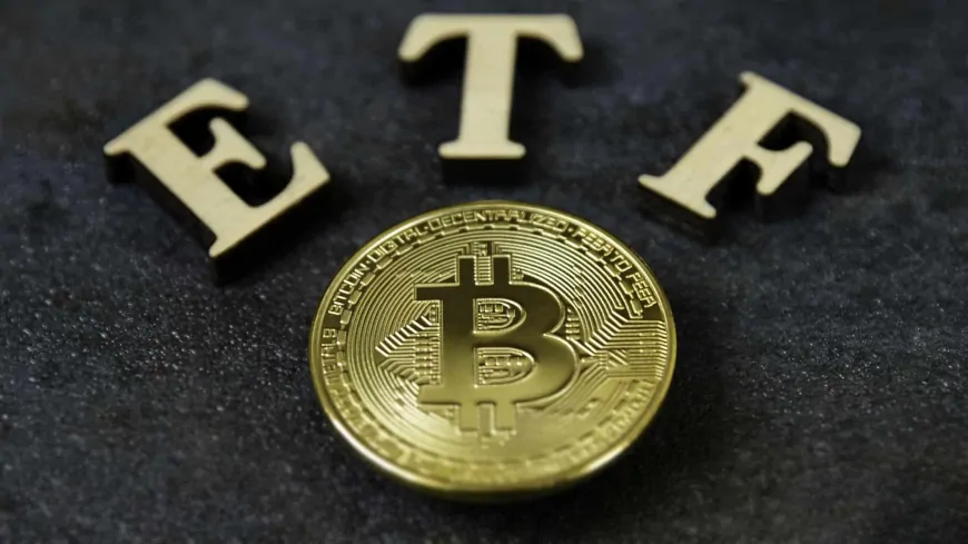 US Spot Bitcoin Exchange Traded Funds (ETFs) Positive Streak Extends to Five Days!