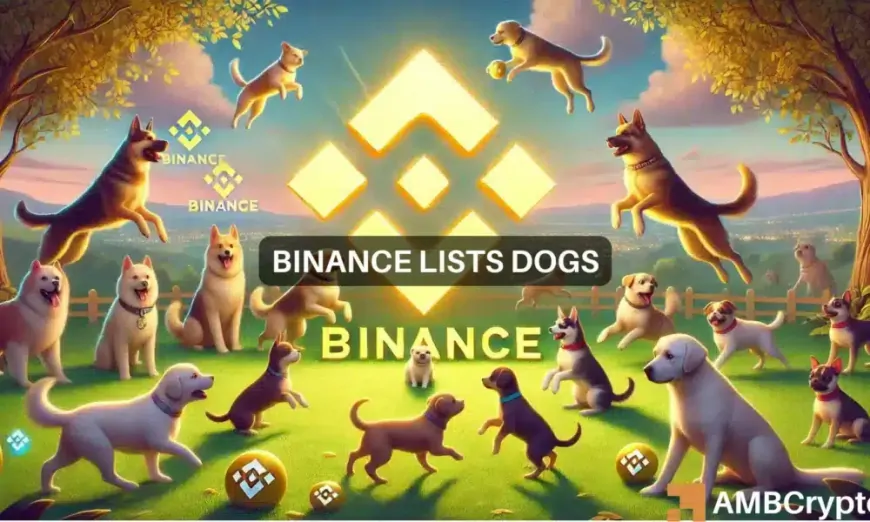 How BNB, DOGS fared as Binance Launchpool lists the memecoin