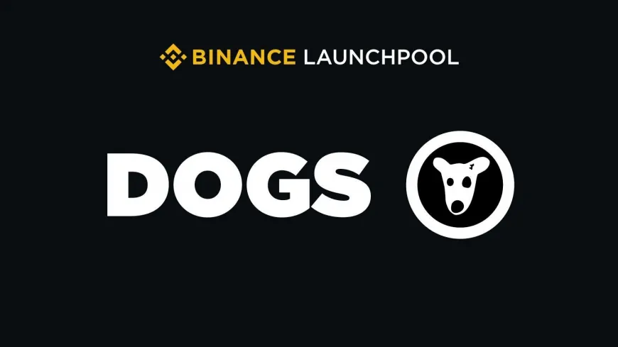 Binance Launchpool: Earn Dogs (DOGS) by Staking BNB and FDUSD