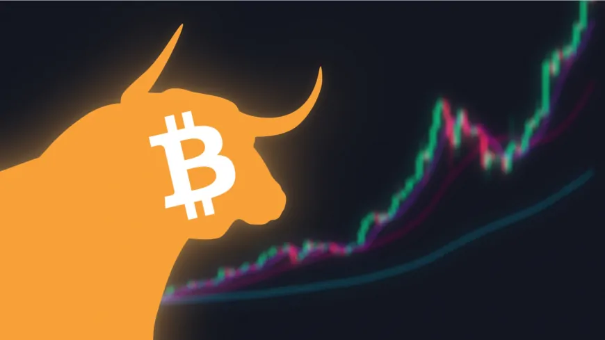 Could Bitcoin Price See $75,000 By The End Of This Month? Here is the Latest Data According to Experts