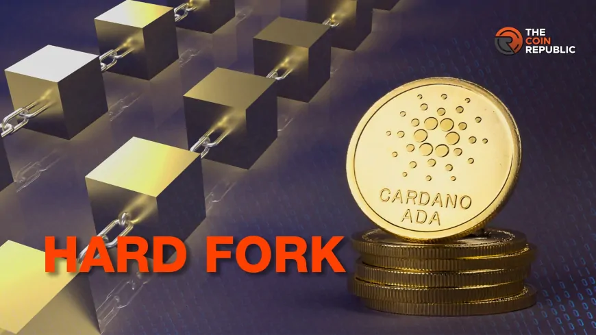 Cardano Shifts Chang Hard Fork Launch, Here's Why