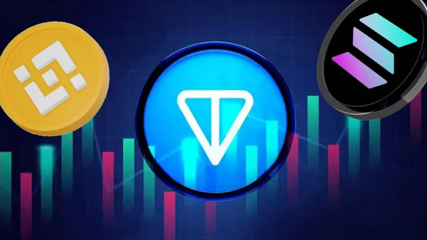 Toncoin Price Prediction: Why is TON price down today and how BNB's market cap shot past Solana (SOL) in spite of recent crypto market events