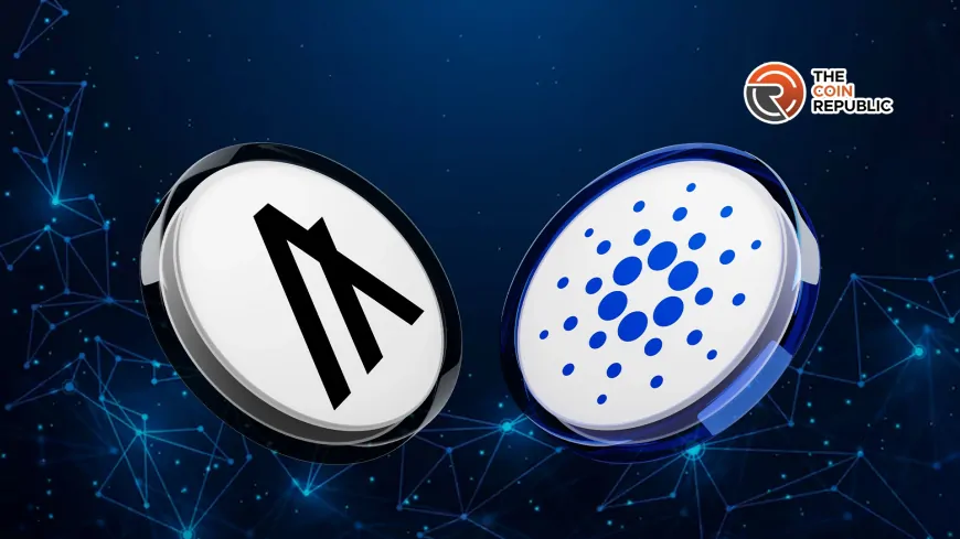 Cardano, Algorand Eyeing Potential Decentralized AI Partnership: Details