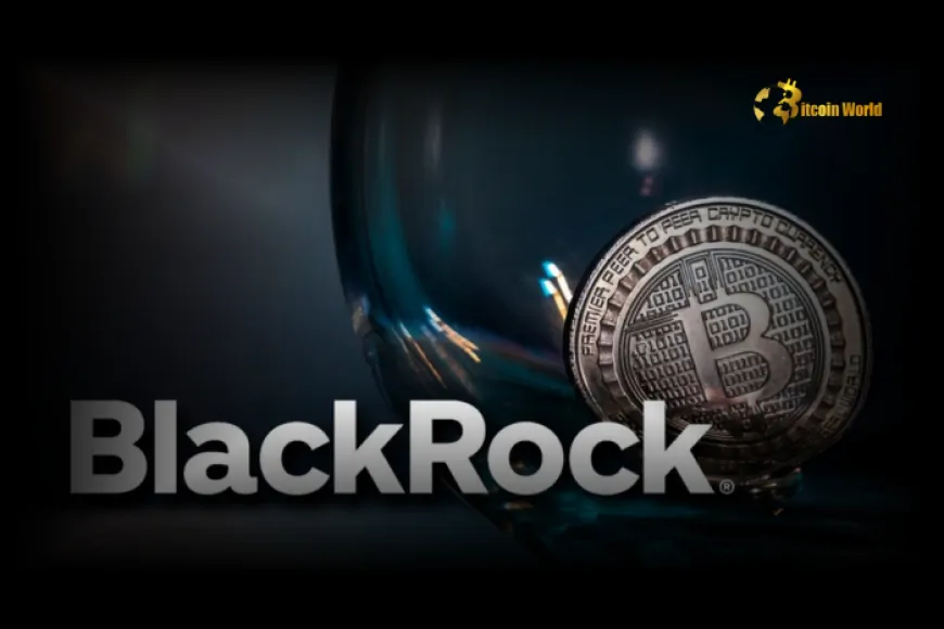 BlackRock Dominates Bitcoin ETF Inflow Streak With Record $224M