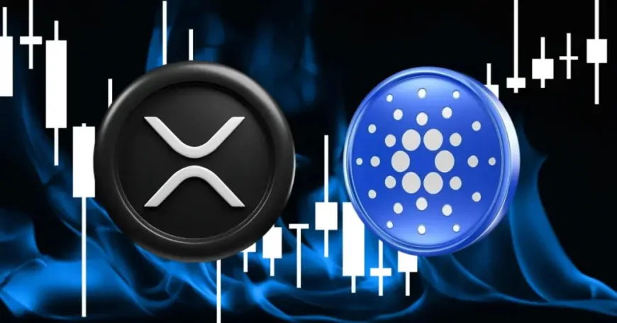 Crypto Analyst Alert: Last Time to Buy XRP, ADA, and this Ethereum Token Before This Happens