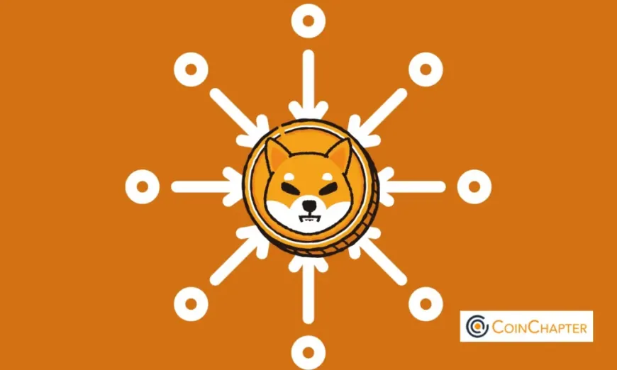 Shiba Inu (SHIB) Coin Faces a 25% Crash Setup But…