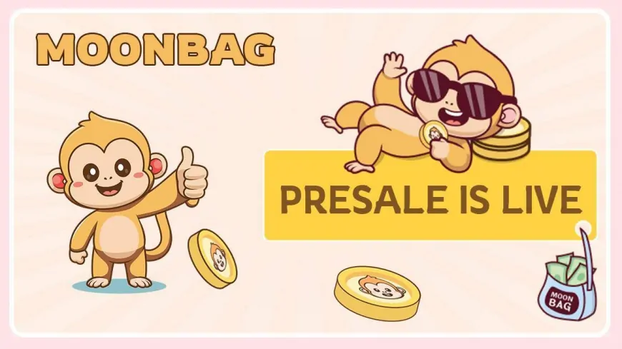 MoonBag's Rewards 2024 Skyrocket as Top Crypto Presale to Invest In Following Shiba Shootout's Gaming and SHIB's Evolution 