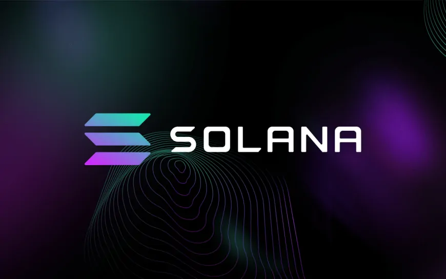 Top 10 Solana (SOL) Altcoins Developers Are Focusing On Are Revealed – Here is the List