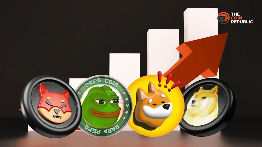 Top Meme Coins With Huge Potential: DOGE, SHIB, PEPE, BONK