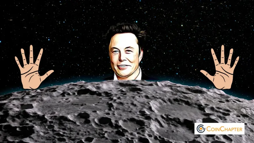 Can Solana Meme Coin Musk Moon Really Give 18,000% Return? 