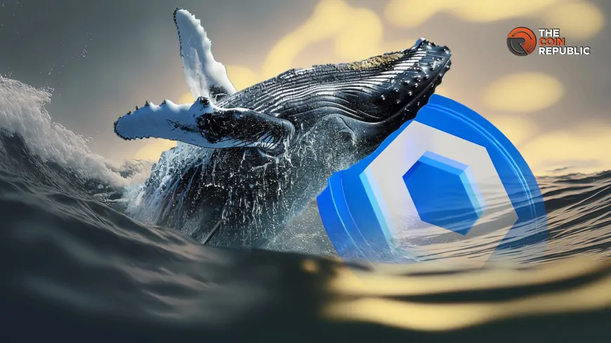 Dormant Chainlink Whale Goes On Buying Spree After 595 Days