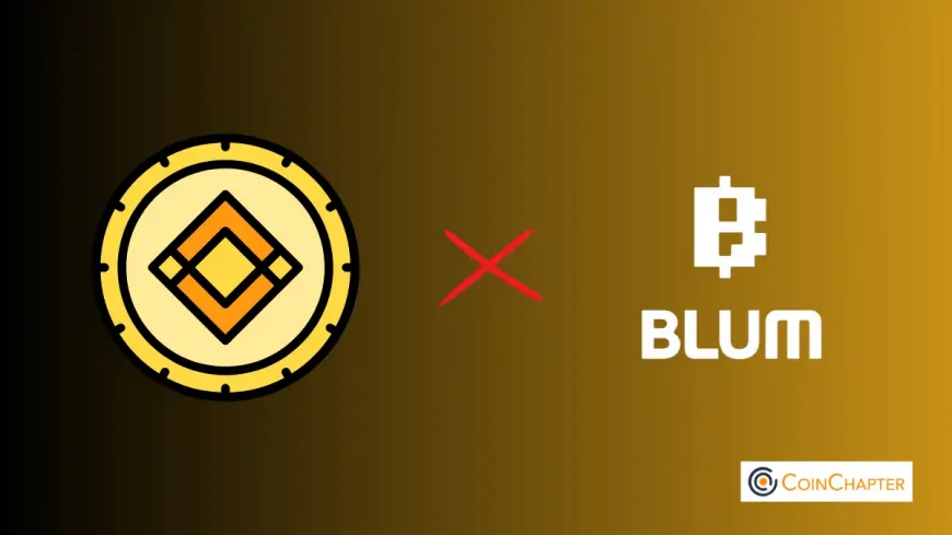 Binance Backs Blum Crypto: Telegram-Based Trading App Joins BNB Chain's MVB Season 7