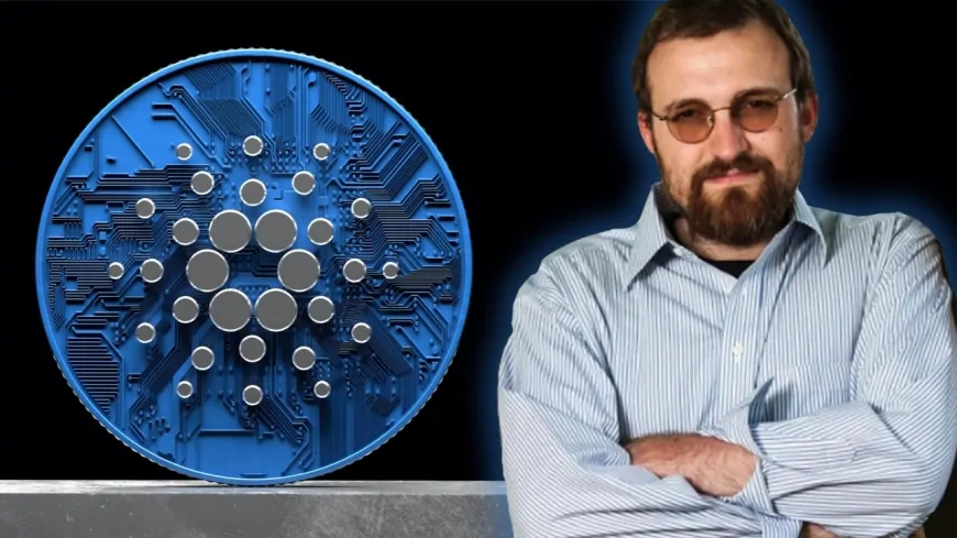 Charles Hoskinson Speaks Out About Cardano (ADA) FUD, Denies Allegations!