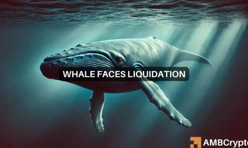 Crypto whale faces $28 mln WBTC liquidation: Will this affect Bitcoin?