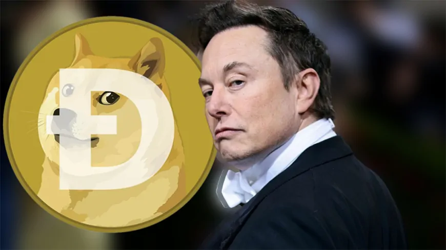 Is DOGE Now the Department Of Government Efficiency? Elon Musk Might Have Just Hinted at It!