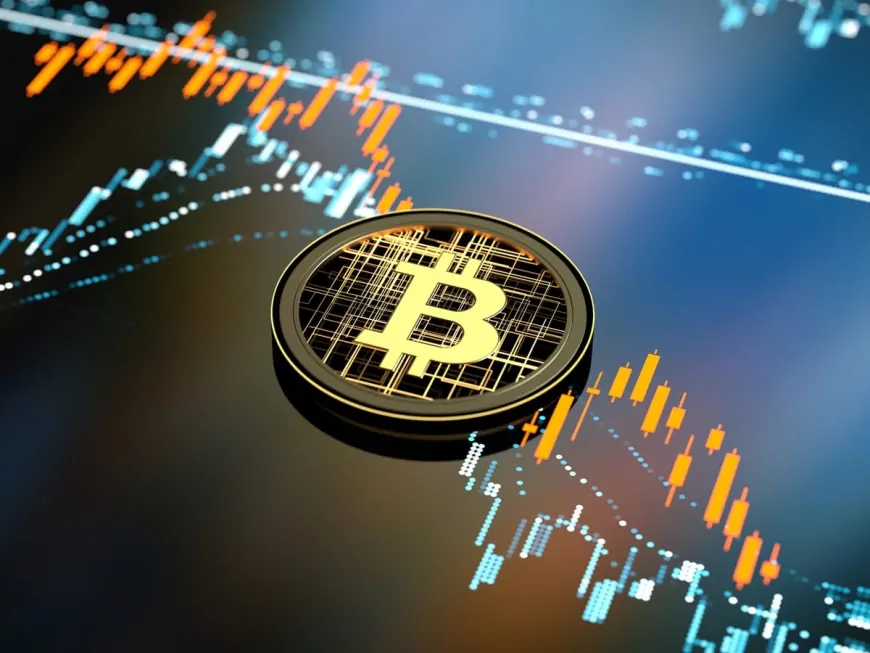 Bitcoin Data is in: How Much Profit and How Much Loss for Whales, Miners and Binance Traders?