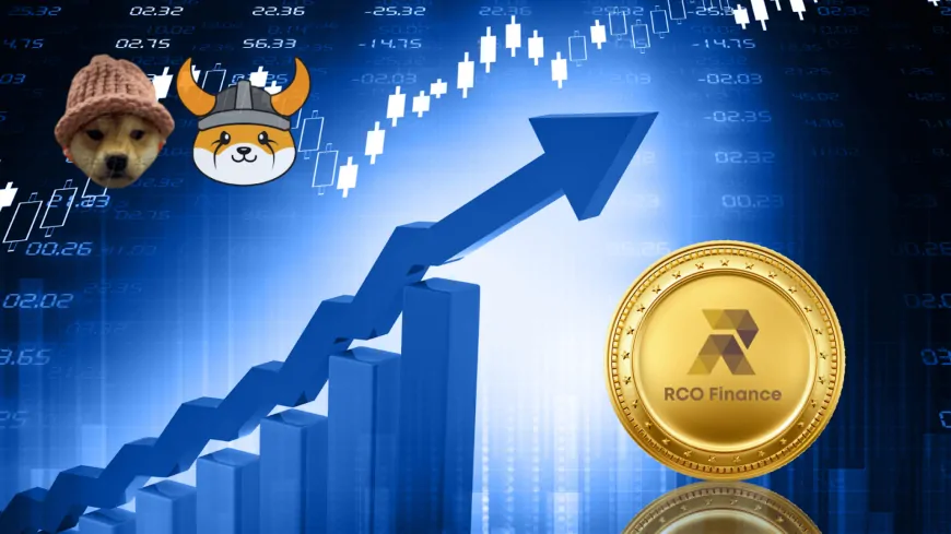 Top SOL Trader Reveals Why WIF & FLOKI Lag Behind SHIB, And A Hidden Altcoin Gem