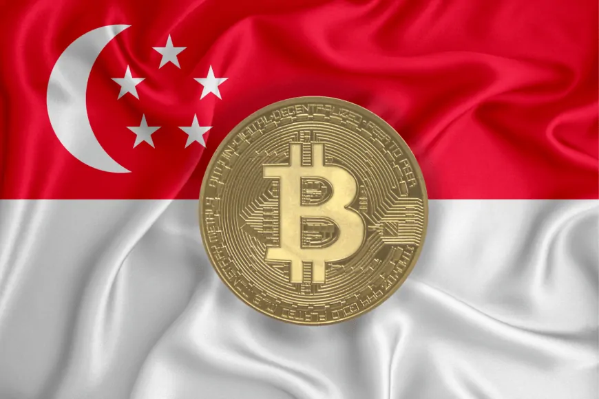 DBS bank launches Bitcoin options for institutional investors: a revolution for the crypto-financial sector