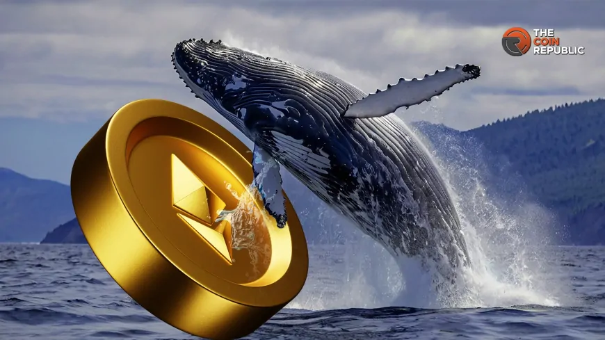 Whales Hint at Ethereum Offloads As Price Struggles