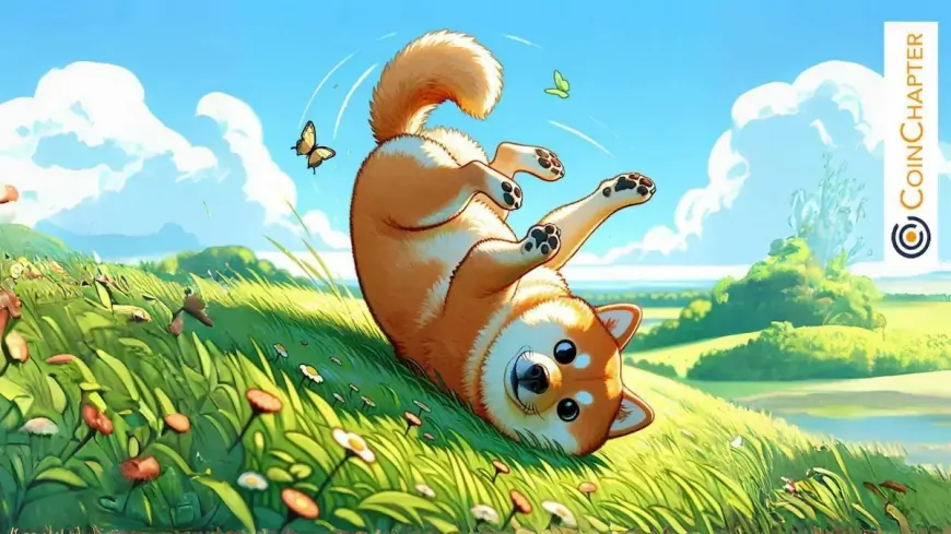 Shiba Inu (SHIB) Coin Price Eyes Breakout as K9 Finance Launch Sparks Whale Activity