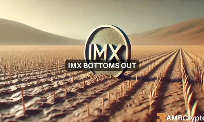 IMX on the verge of hitting $1.7 – Here's what you need to know