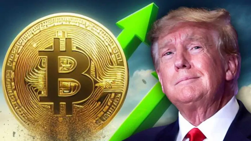 Former US President Donald Trump Made a Payment Using Bitcoin