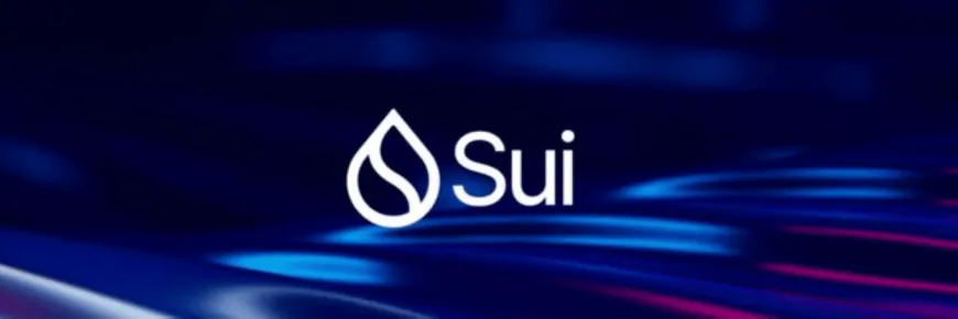 Sui Price Surges 13% As Circle Announces Upcoming USDC Launch, But Analysts Say Consider This Layer-2 PEPE For 100X Gains