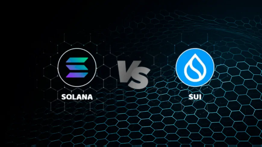 Can Sui Dethrone Solana? Analysts Point to Explosive Gains and Major Upcoming Releases