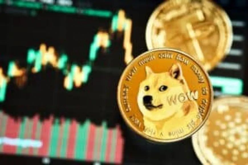 Dogecoin: increase in transactions and market outlook for the crypto DOGE