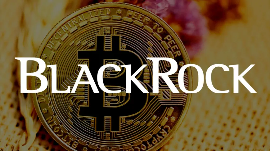 BlackRock Highlights Bitcoin as Hedge Against U.S. Dollar Concerns