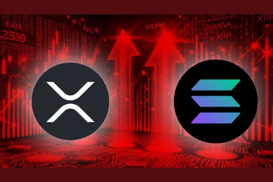 Wall Street Expert Says this Crypto AI Altcoin is Heading for 5000x Returns Outperforming Solana and Ripple (XRP)