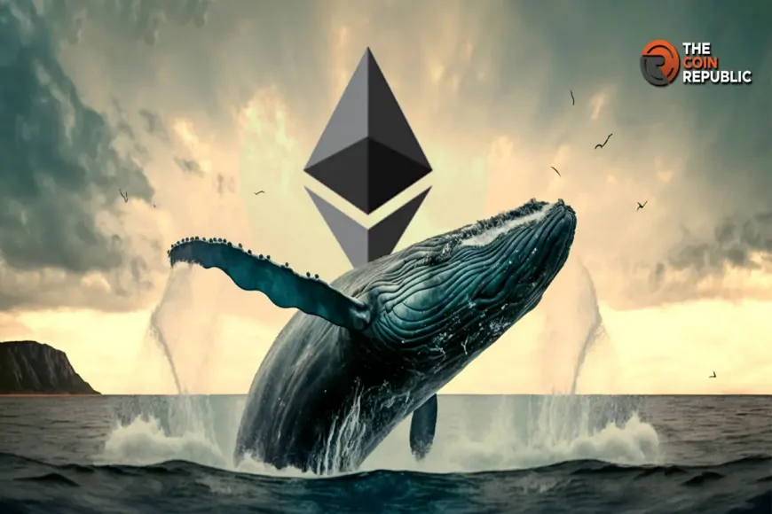 Whales Profit as Ethereum Shows Signs of a Comeback