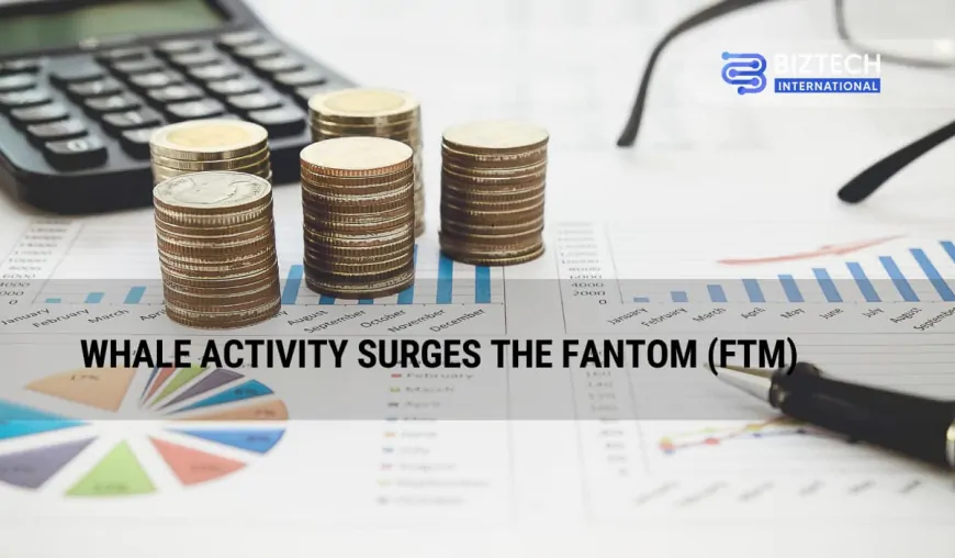 Whale Activity Surges The Fantom (FTM): Peaks Over 60% Before The Token Migration To Sonic 