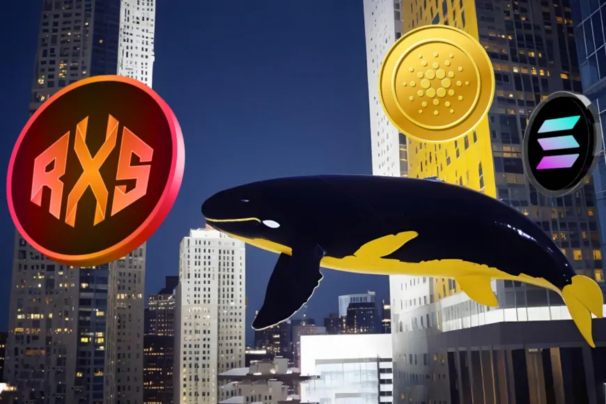 Cardano and Polygon Whales Bet Big on New Crypto Leading the Race in Tokenization of Real Estate and Other Real-World Assets