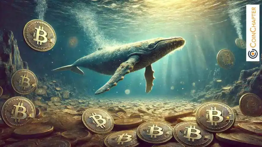 Dormant Bitcoin Whale Awakens After 10.9 Years, Realizing 11,507% Gains